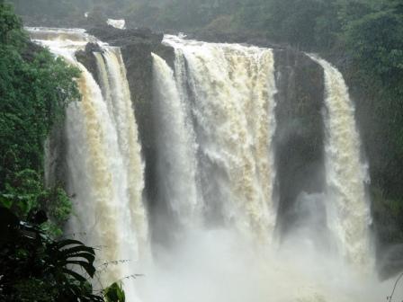 Rainbow Falls Hilo